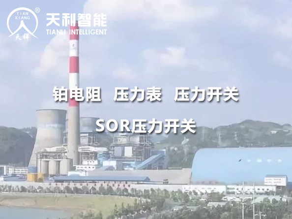 貴州華電桐梓發(fā)電有限公司2*600MW機組項目 服務(wù)案例